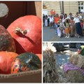 Počeli „Dani ludaje“! Kikinda će narednih dana biti u znaku bundeva i tradicije, a stižu i poznata muzička imena
