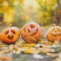 Sveti Luka ili Halloween i potrošački "rituali"