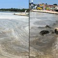 "Štedeli smo celu godinu za more zbog: Ovoga?!" Turisti besni, plaže u Hrvatskoj zbog ovoga puste: "Vozio sam 16 sati, a ovo…