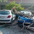 Nemili događaj u naselju Lesnina: Drvo palo na parkirane automobile