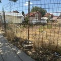 ​Vlasnici srušenih kuća žive pod kirijom, a ranohrišćansko nalazište u Jagodin-mali u korovu