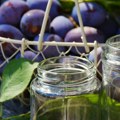 Шљива није само за ракију, компот или ЏЕМ Уз једноставне методе ферментације добићете укусну зимницу која иде уз месо и сир…