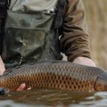 Рапорт с воде Шаран пребацио 16 килограма