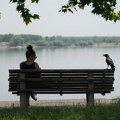 Naslovne strane za subotu, 4. jul 2026. godine