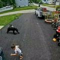 VIDEO: Porodični pas odbranio dečaka od malog medveda