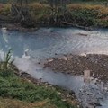 Узнемирујући призор на обали Моравице: Грађани угледали џак, а кад су га отворили, умало им није позлило