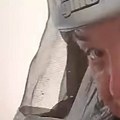 "Samo što se nisu izlegli": Vladica izvukao veliko gnezdo stršljenova iz spavaće sobe kod Beograda