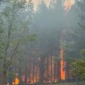Deliblatska peščara gori danima: Nestalo 1.500 hektara šume, vatra stigla nadomak kuća