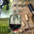 Francuska izdvaja 200 miliona evra za uništavanje vina usled pada potražnje
