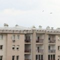 Proverite koliko vredi vaša nekretnina: RGZ procenio vrednost svih stanova u Srbiji