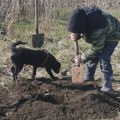 Drugačija akcija Zelenih šapa pod sloganom „Pokloni voljenoj osobi DRVO za 8. mart” 🌳💚 Pokloni drvo za 8. mart