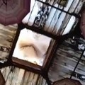 „Stanari stambenih zajednica koje se nalaze u sklopu tržnog centra „Sinteza“ žive kao u filmu strave i užasa“