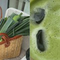 Menstrualni ciklus i ishrana: Šta jesti, a šta izbegavati? L&Z Coffee Freeze Club – hladna kafa kao letnji ritual (i stil…