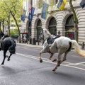 Penzionisan Kveker, vojni konj koji je jurio kroz London