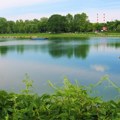 Na Adi Ciganliji u sredu uveče se utopio muškarac