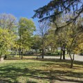Šta su urbana toplotna ostrva i zbog čega je Beograd njihov najbolji primer