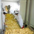 “Chips Way“: Cela pošiljka čipsa uništena, namenjena samo jednom kupcu u Hrvatskoj