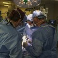Umro Ričard (62), prvi čovek na svetu koji je primio genetski modifikovan svinjski bubreg: Operisan pre dva meseca, lekari…