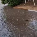 Potop u Inđiji, Nevreme napravilo haos: Reke na ulicama, gromovi pucaju, munje paraju nebo (video)
