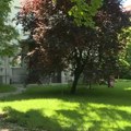 Filozofski fakultet u Nišu izglasao onlajn nastavu