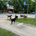 Da li je zaista leskovački advokat učio građane da sami sebe ujedaju?