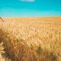 Osiguranje u poljoprivredi – rezultati istraživanja