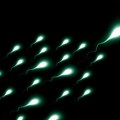 VIDEO Naučnici utvrdili: Spermatozoidi ignorišu jedan važan fizički zakon