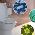 Da li je daska na WC šolji zaista najveći izvor zaraze: Mitovi i istine o javnim toaletima