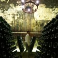 Vrućine ubrzavaju berbu grožđa za industriju penušavih vina