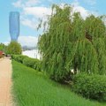 Beograd za sve ljubitelje prirode usred grada: Upoznajte najlepšu zelenu oazu u centru prestonice