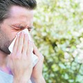 Haos sa alergijama je već krenuo Kako da se spasite od ambrozije