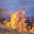 Požari bukte i u centralnoj Srbiji: Gori u okolini Paraćina, visoke temperature pogoduju buktinjama na otvorenom