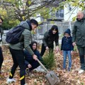 Gimnazijalci iz Vranja oplemenjuju prostor: Zasađeno 16 smreka u školskom dvorištu