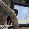 Momci iz bloka napravili bioskop za decu: Uživanje u Gagarinovoj u Novom Sadu (video)