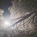 Ovako večeras izgleda planina na jugu Srbije: Formirao se snežni pokrivač, prizor je bajkovit