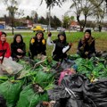 Uspešno završena 11. akcija čišćenja Srbije „Zavrni Rukave“