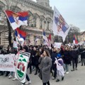 Zajednički protest Rumljana i Mitrovčana: Dekontaminacija posle SNS mitinga u Sremskoj Mitrovici