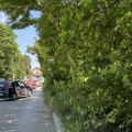Čitaoci javljaju: Hoćemo da doniramo litar totalnoh herbicida i makaze nadležnima da najzad pokose travu, pored stambene…