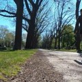 На гробљу које окружују домови хиљада Срба забележени нестварни призори: Ово нико није очекивао!