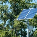 Solarno drveće: Da li je to nova šansa za razvoj solarne energije bez uništavanja šuma?