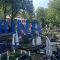 Šok u Ivanjici: Jazavci upadaju na groblje i kopaju podzemne hodnike, sve ih je više a šteta ogromna