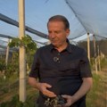 Bogoljub Karić pita kako je moguće da Grocka ne bude centar proizvodnje i prerade hrane u Srbiji