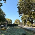 Nakon maglovitog jutra, sunčano i toplo – najviša dnevna temperatura 32 stepena