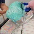 Ušli su u sobu kćerke, a tamo ih je sačekao horor prizor: Gmaz se sklupčao u ćošku i vrebao žrtvu (video)