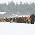 Delove Austrije okovao sneg, na planinama zatrpani automobili