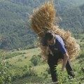 U Savinim rukama slama postaje umetničko delo: O neverovatnom hobiju umetnika iz Raklje priča cela Srbija