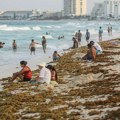 Rekordna najezda u tropskom raju: Turisti besni zbog nepodnošljivog mirisa na plažama