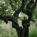Nagrada za „Vetre, pričaj sa mnom“ Stefana Đorđevića za najbolji međunarodni igrani film u Meksiku