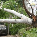 Rim pogodilo nevreme, tornado obarao drveće i tezge na pijaci