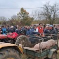 Pčinjski okrug u vrhu po otkupnim cenama stoke